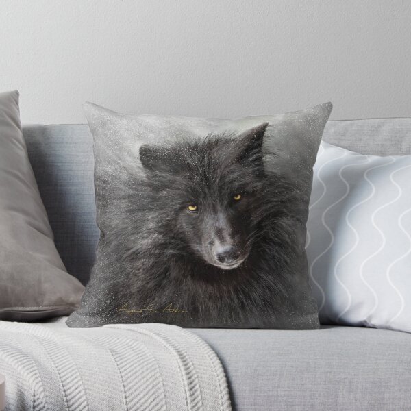 Throw Pillow