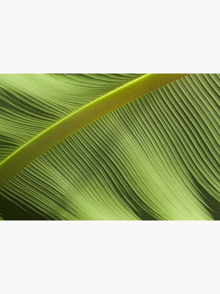 Disover  young palm leaf unfolds Premium Matte Vertical Poster