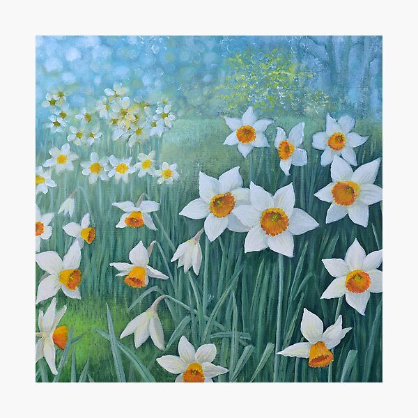 Host of Daffodils Photographic Print