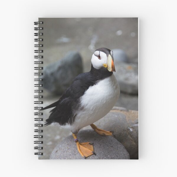 Item preview, Alaska the Perfect Puffin designed and sold by PtDefianceAAZK.