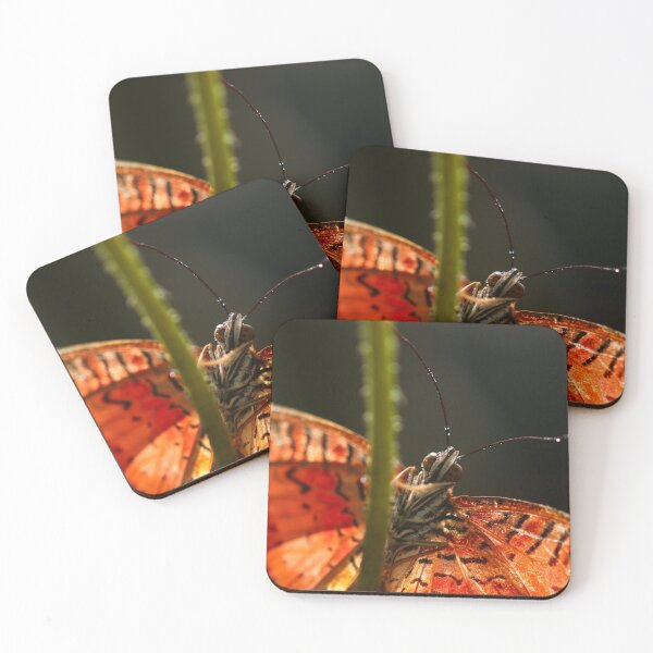 Item preview, Butterfly in morning dew designed and sold by GreyFeatherPhot.