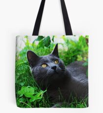 The ornithologist ? Tote Bag