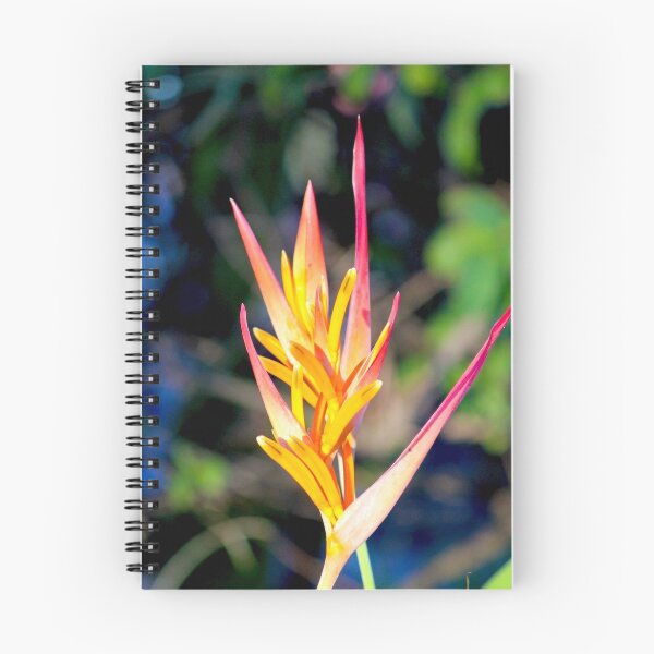 Item preview, Heliconia designed and sold by PhilipBrown.