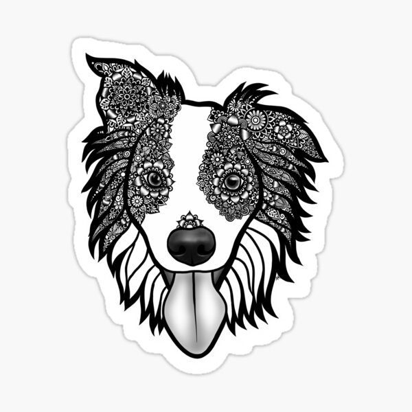 Download Border Collie Stickers Redbubble