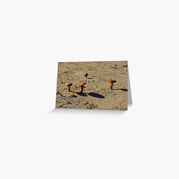Cowgirls in the Sand Greeting Card