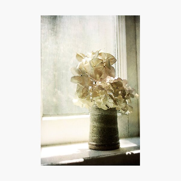 lucidity Photographic Print