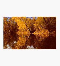 The River of Reflection Photographic Print