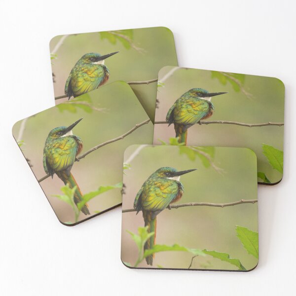 Rufous-tailed Jacamar Coasters (Set of 4)