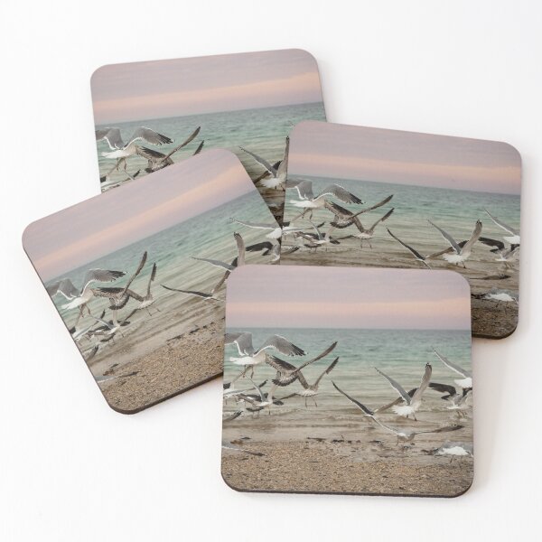 Item preview, Seagulls in Long Island designed and sold by hippynic.
