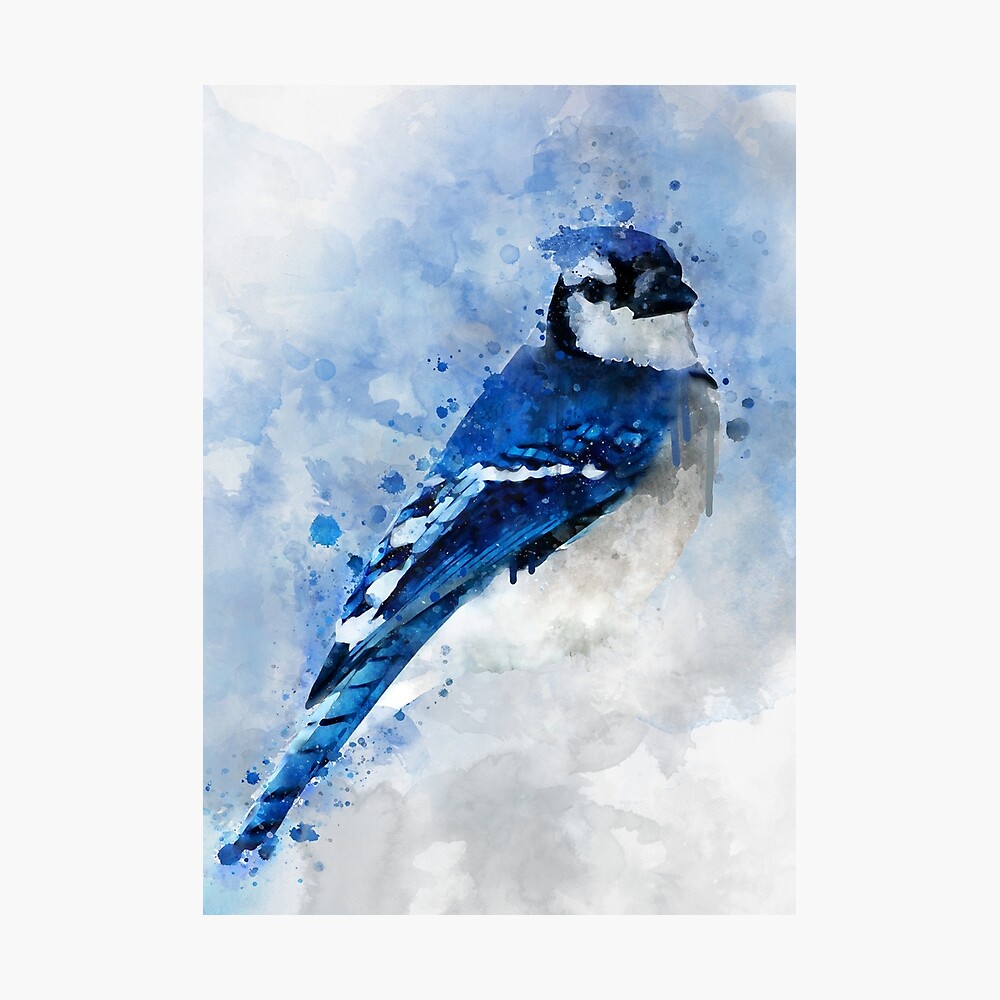 ArtStation - Blue Jay Animal Portrait Watercolor Painting