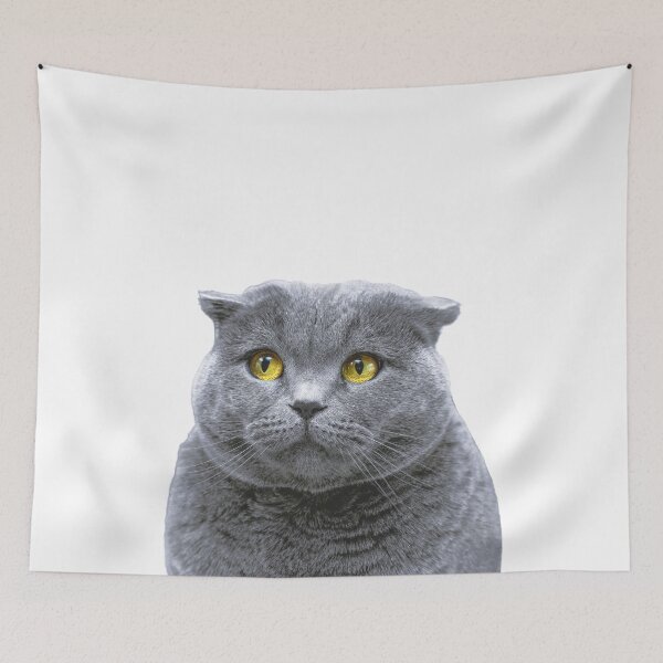 Item preview, Scottish Fold Cat, Gray Cat, Animal Art designed and sold by moderntrend.