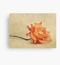bellezza Canvas Print