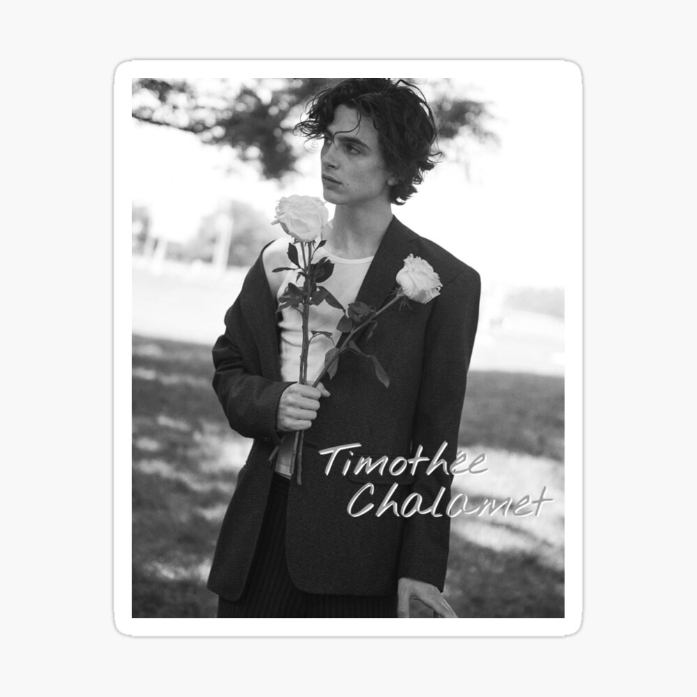  Shine On Timothee Chalamet - 24X36 Rare Poster Photo