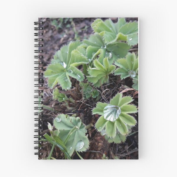 Item preview, Lady's Mantle designed and sold by JayAceAro.