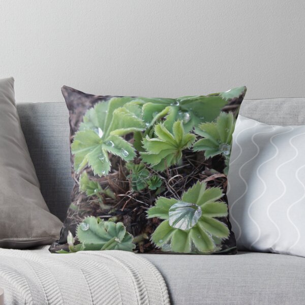 Item preview, Lady's Mantle designed and sold by JayAceAro.