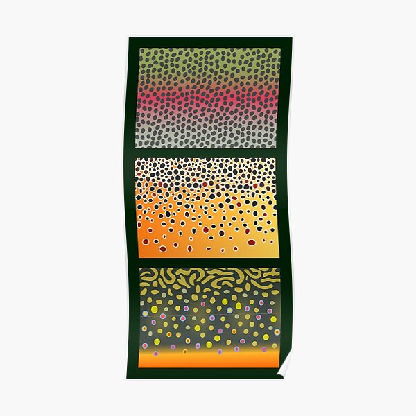 The Trout Trinity Poster