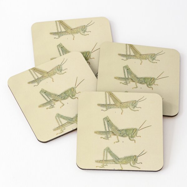 Item preview, Naturalist Grasshoppers designed and sold by BlueSpecsStudio.