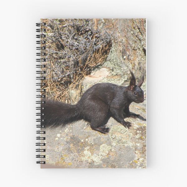 Item preview, Abert Squirrel designed and sold by David D. Shaw.
