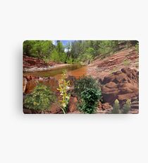 2047-Survival Metal Print