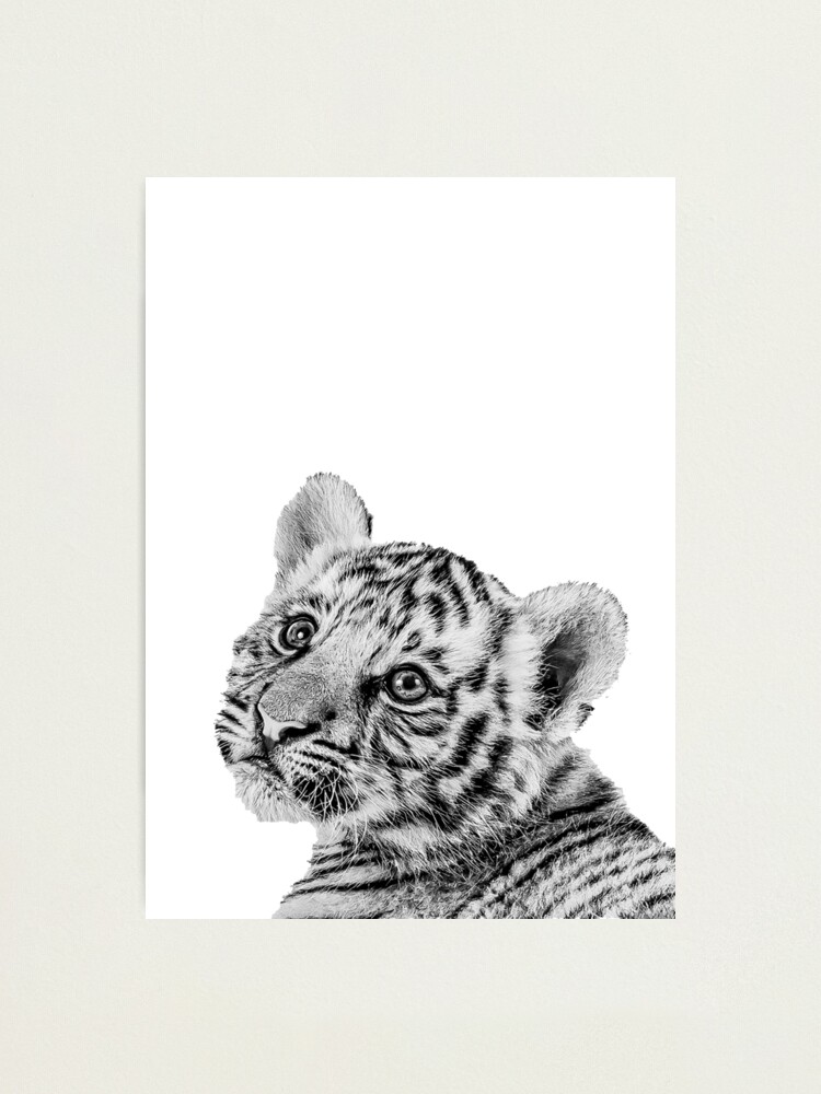 Baby Tiger Print Nursery Animal Wall Art Black and White 