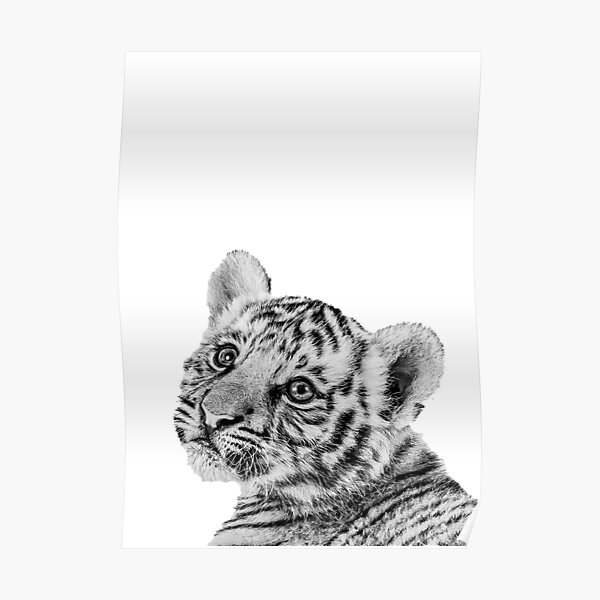 Tiger Cub Baby Tiger Cute Animal Nursery Decor Poster By Moderntrend Redbubble