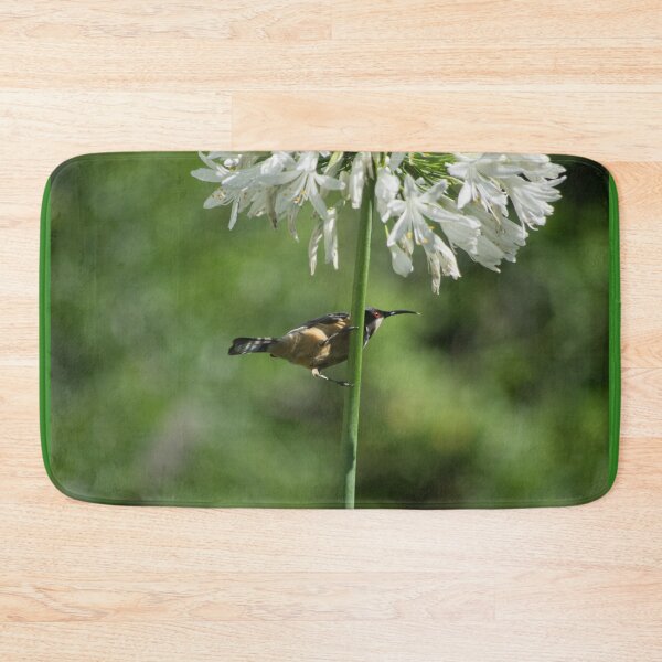 Item preview, the Honeyeater in the Agapanthus designed and sold by Clare Colins.
