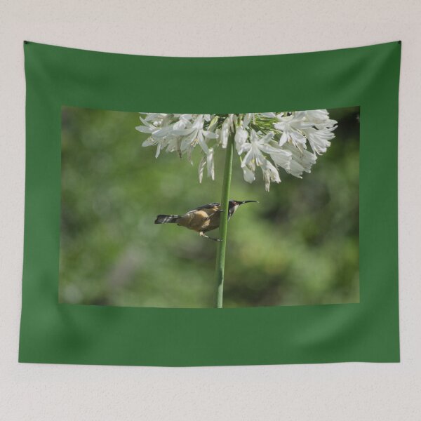 Item preview, the Honeyeater in the Agapanthus designed and sold by Clare Colins.