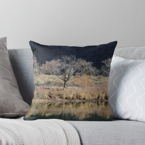Item preview, Roadside rest a Colbran Colorado designed and sold by BarbaraWilliams.