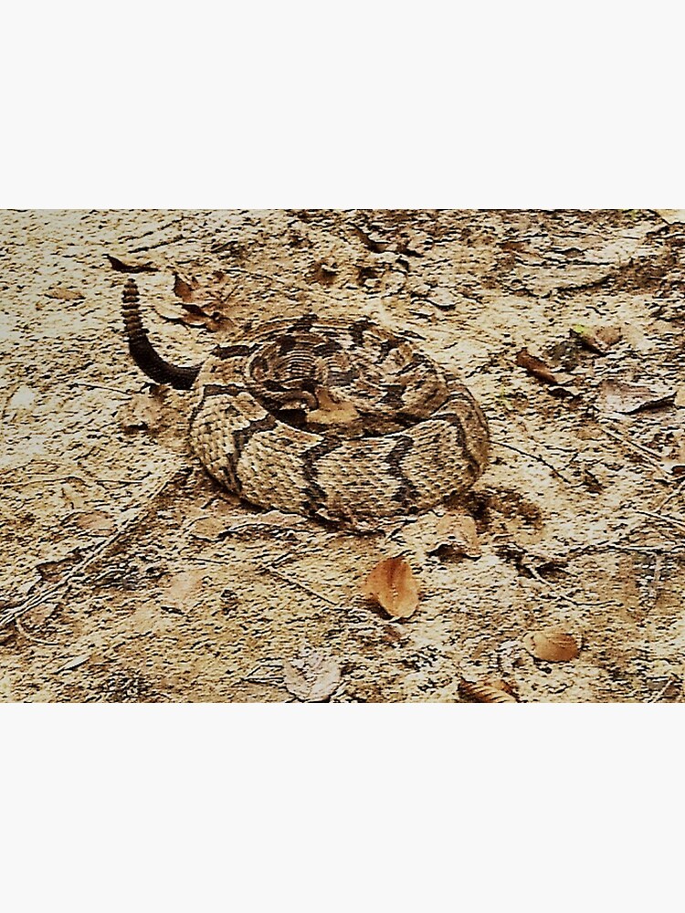 "Texas Timber Rattler Camo" Sticker for Sale by azcoleman Redbubble