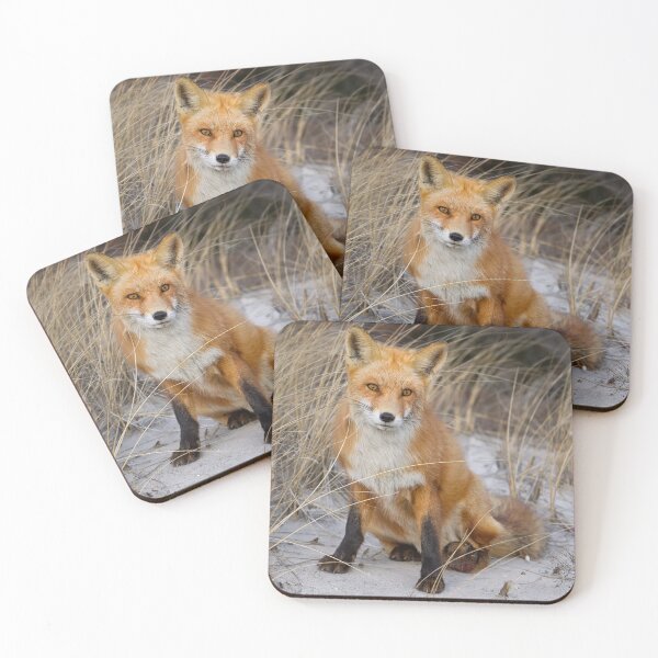 Item preview, Red Fox Sitting designed and sold by Gerard Fornarotto.