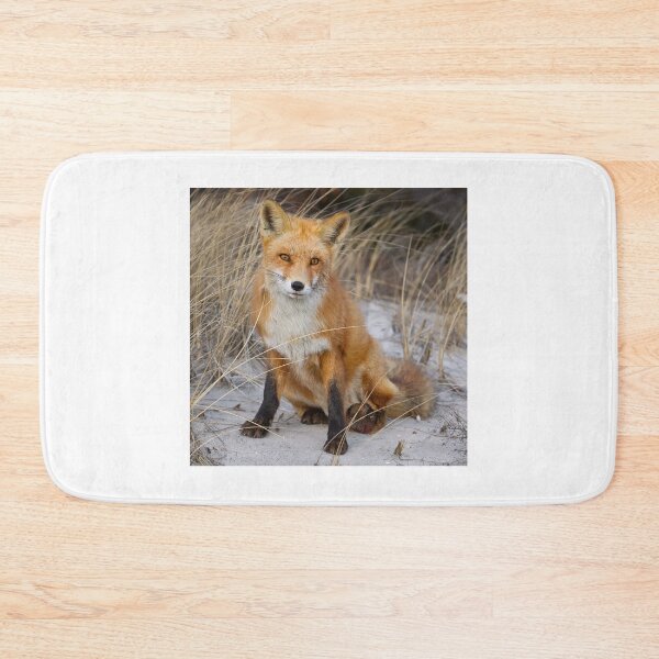 Item preview, Red Fox Sitting designed and sold by Gerard Fornarotto.
