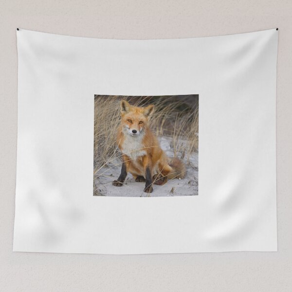 Item preview, Red Fox Sitting designed and sold by Gerard Fornarotto.