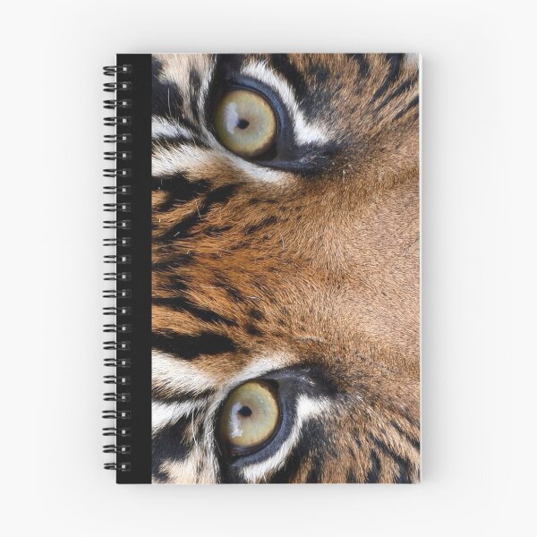 Item preview, Tiger Stare designed and sold by PtDefianceAAZK.