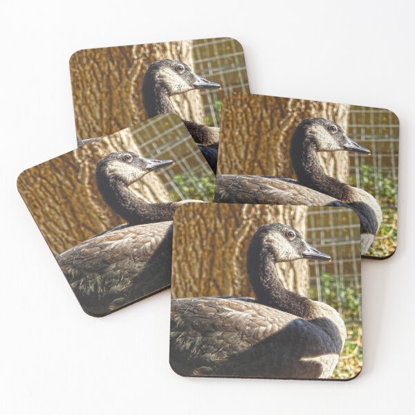 Item preview, Canadian goose, looking thoughtful designed and sold by Stephanie  Skeem.