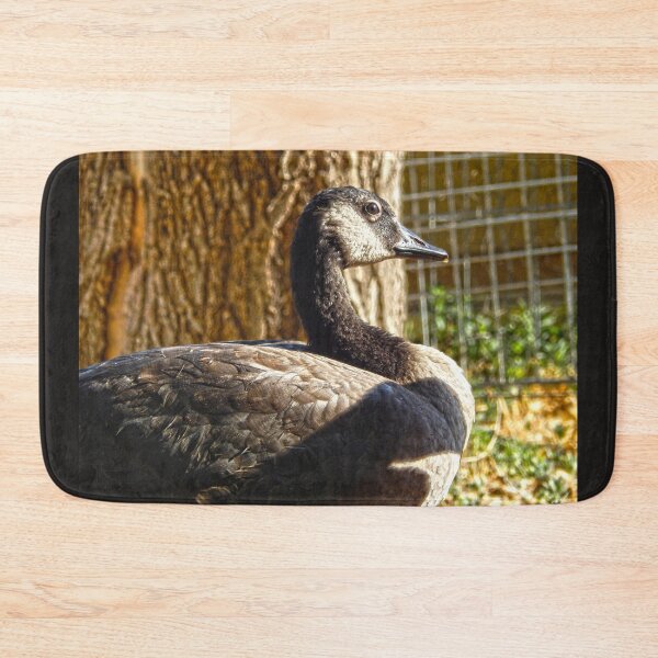 Item preview, Canadian goose, looking thoughtful designed and sold by Stephanie  Skeem.