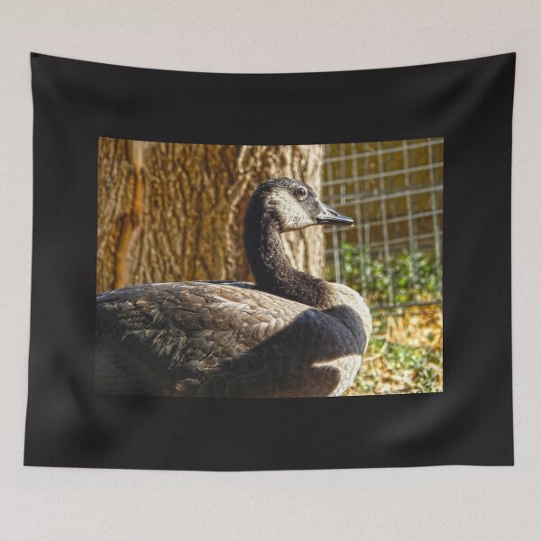 Item preview, Canadian goose, looking thoughtful designed and sold by Stephanie  Skeem.