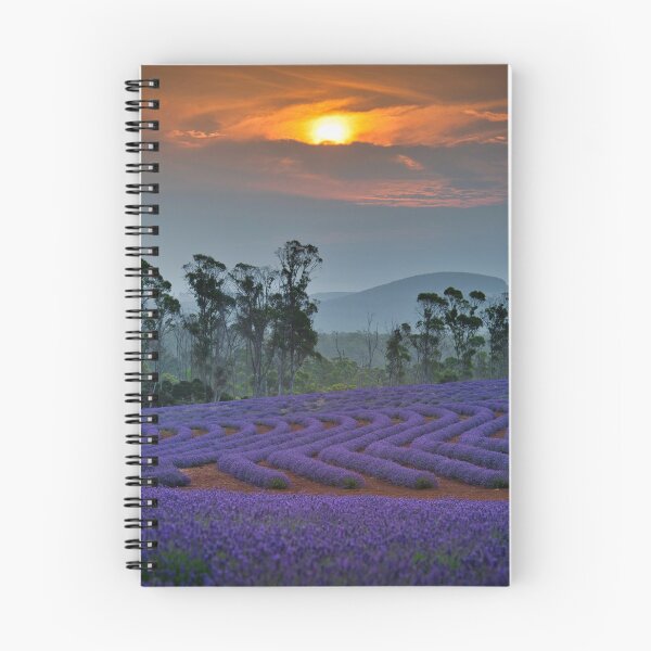 Item preview, Lavender Farm designed and sold by Adrian Alford Photography.