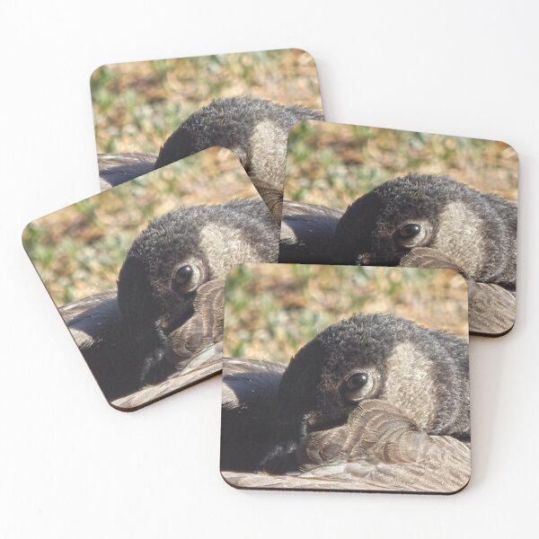 Item preview, sleeping Canadian goose designed and sold by Stephanie  Skeem.
