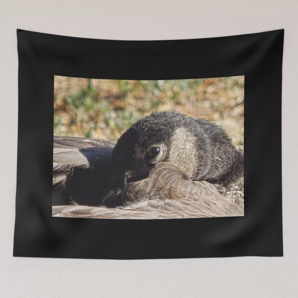 Item preview, sleeping Canadian goose designed and sold by Stephanie  Skeem.