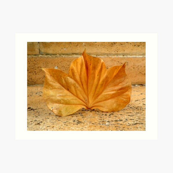 Golden Leaf Art Print