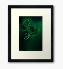 Fern getting ready for bed Framed Print