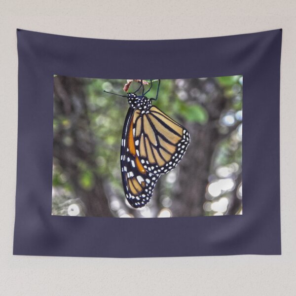 Item preview, Monarch butterfly in Nature designed and sold by Stephanie  Skeem.