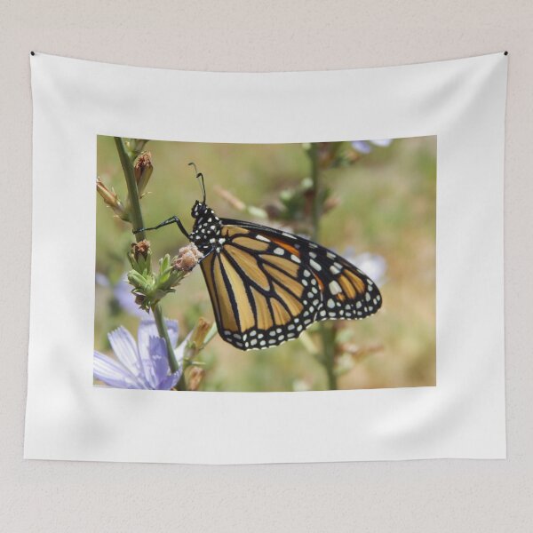 Item preview, Monarch butterfly on purple flax flower Naure picture designed and sold by Stephanie  Skeem.