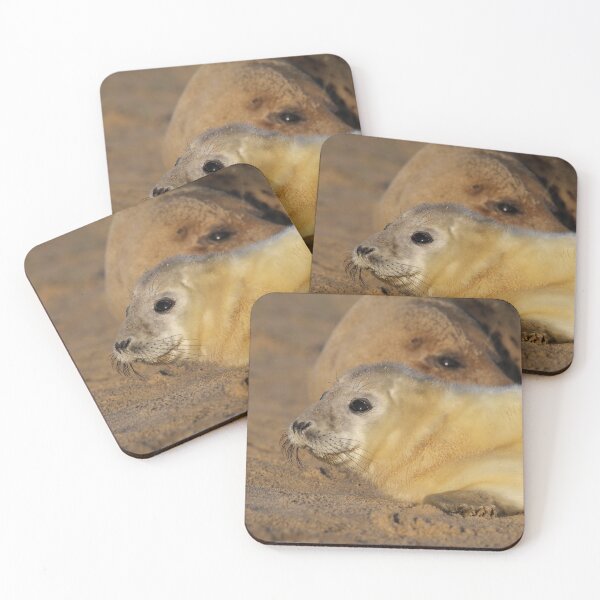 Item preview, Grey Seal Pup - Winterton Norfolk. designed and sold by Christian Moss.