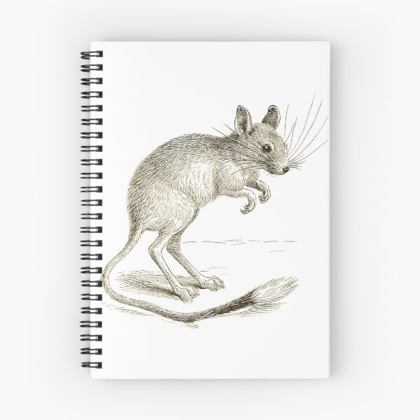 Item preview, The Jerboa designed and sold by PictureNZ.