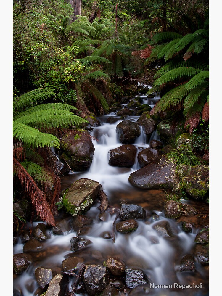 Cement Creek by keystone