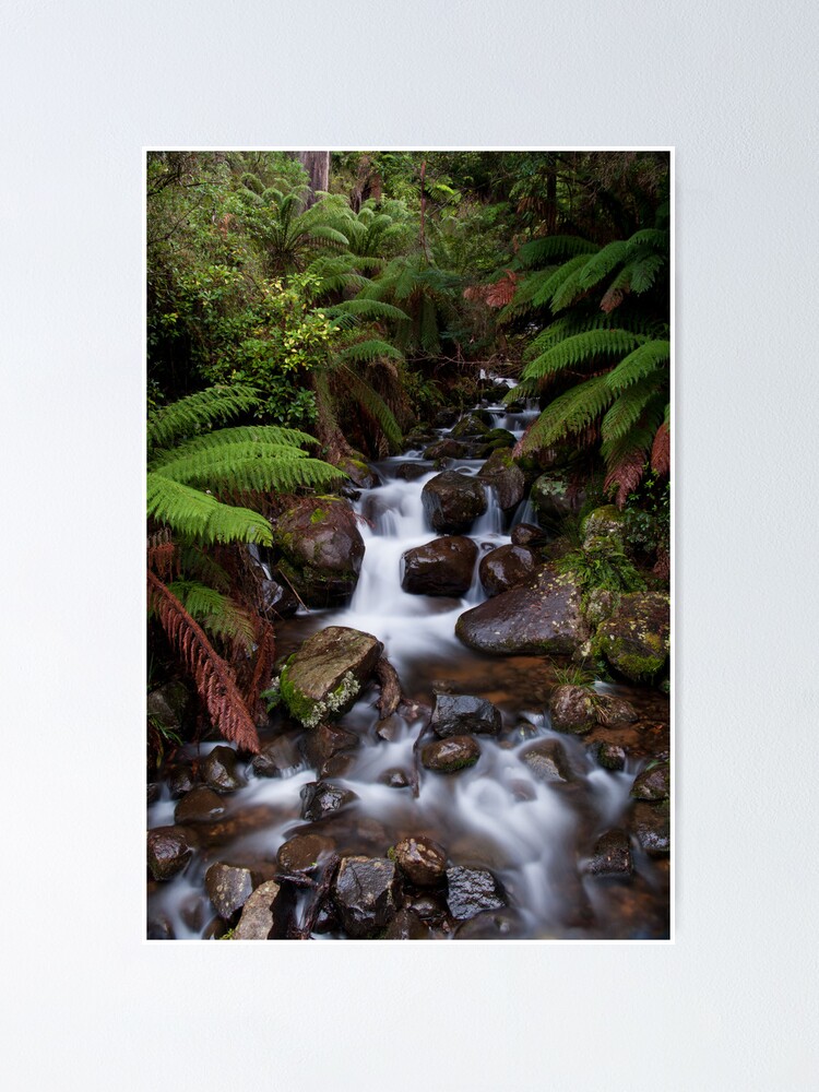 Alternate view of Cement Creek Poster
