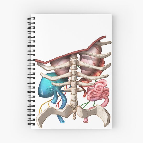 Item preview, Anatomy Phone Cover designed and sold by Mads Peitersen.