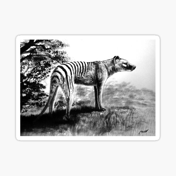 Thylacine Sticker