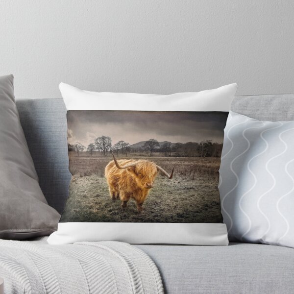 Item preview, Highland Cow designed and sold by HJIrvine.